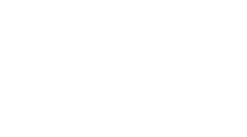 Million Tree Project