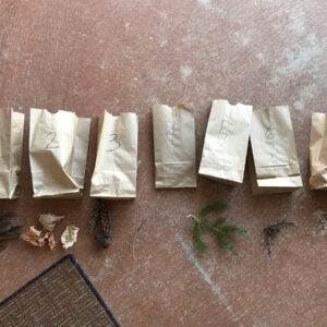 science_rendezvous-million_tree_project-showcase-001-3