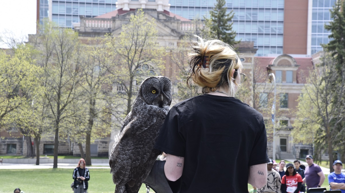 University of Manitoba