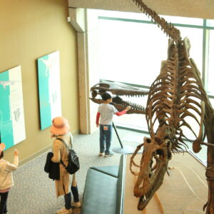 Photo by Fayisayo Dosumu