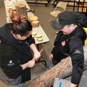 How old is that tree?