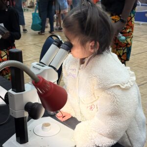 Photo by Margin Chaudhary