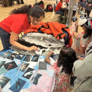 Photo by Tanveer Bahia