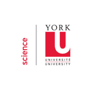 York University