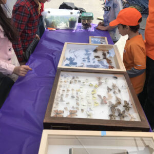 sciencerendezvous2022-western-32