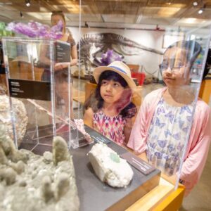 Science Rendezvous - UBC 2019 Event