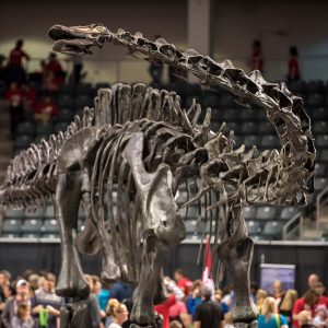 2019-scirend-halloffame-6