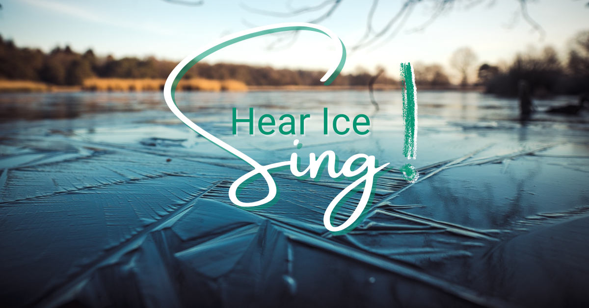 Iced heard. Ice Sing.
