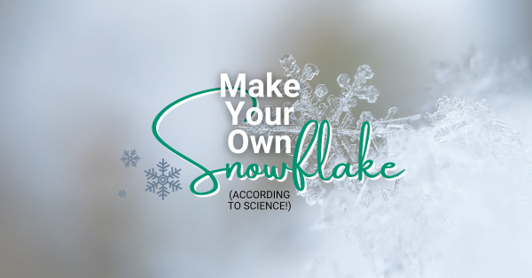 Fun Facts About Snowflakes - And All There Is To Know About SnowHow To Make  Science Projects For Kids