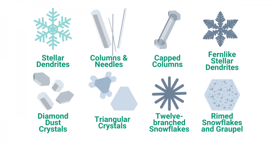 Different categories of snowflakes: Stellar dendrites, columns and needles, capped column, fernlike stellar dendrites, diamond dust crystals, triangular crystals, twelve-branched snowflaeks, rimed snowflakes and graupel