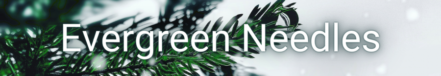 Evergreen Needles