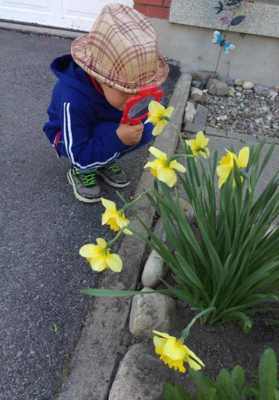 Science Rendezvous Kingston - Plant Exploration