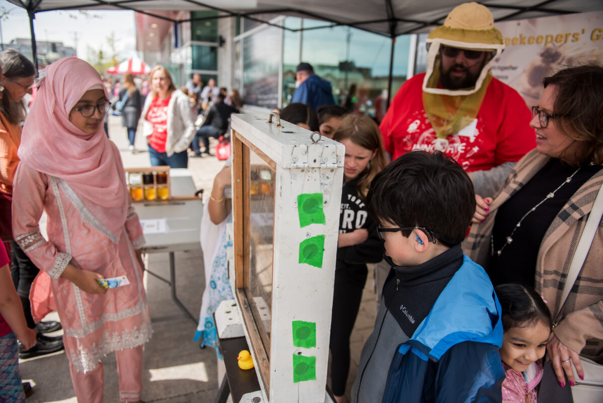 Limestone Beekeepers